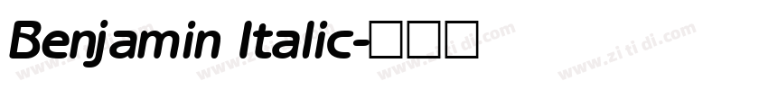 Benjamin Italic字体转换